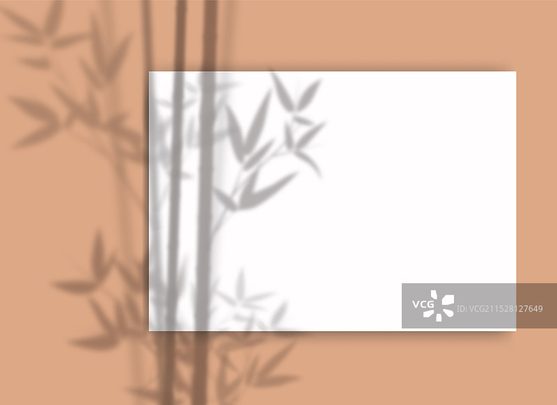 A4纸样机，上面覆盖着叶子阴影图片素材