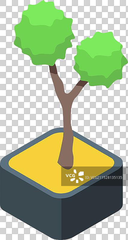 小型盆栽树在方形花盆中生长，等距视图图片素材