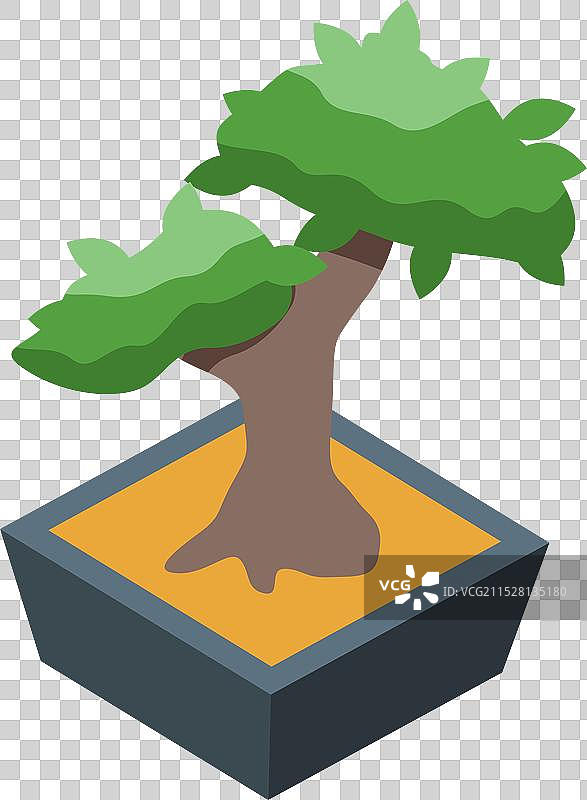 小型盆栽树在方形花盆中生长，等距视图图片素材