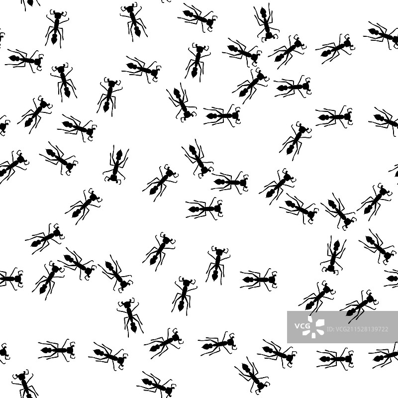 蚂蚁小道无缝图案昆虫入侵图片素材