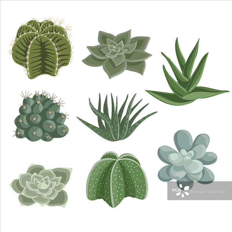 绘制室内植物图片素材