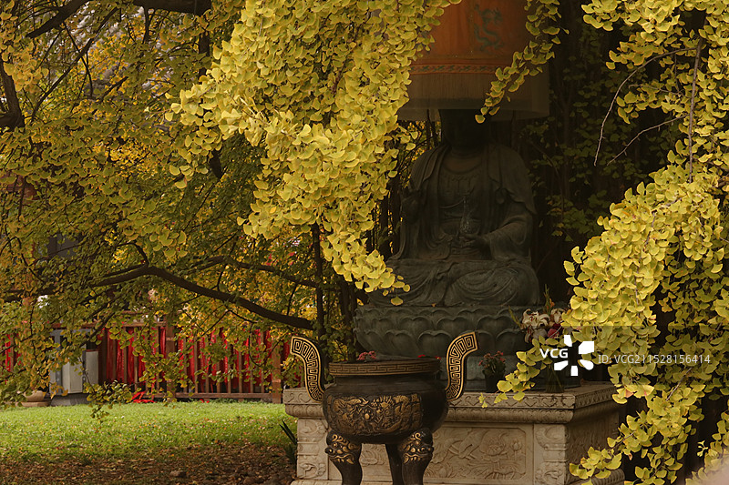 西安古观音禅寺图片素材
