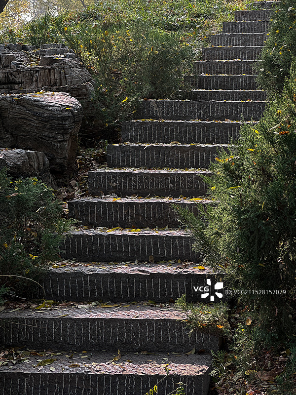 北京市圆明园；蜿蜒的小径图片素材