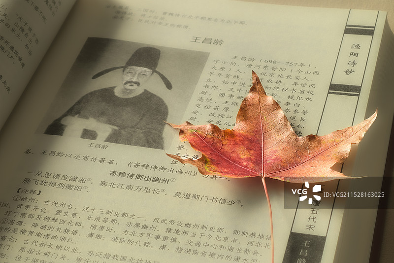 午后，打开一本书，将捡来的一片枫叶作为书签，时光一下变得惬意图片素材