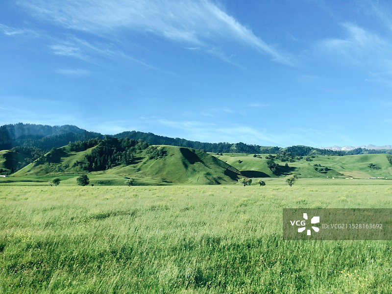 新疆伊犁那拉提草原风光图片素材