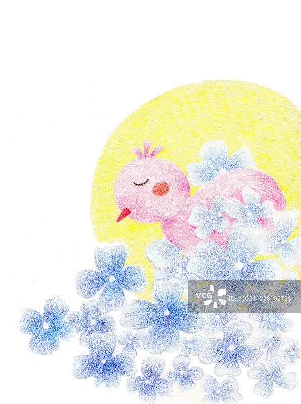 唯美彩铅手绘插画月亮与鸟儿图片素材