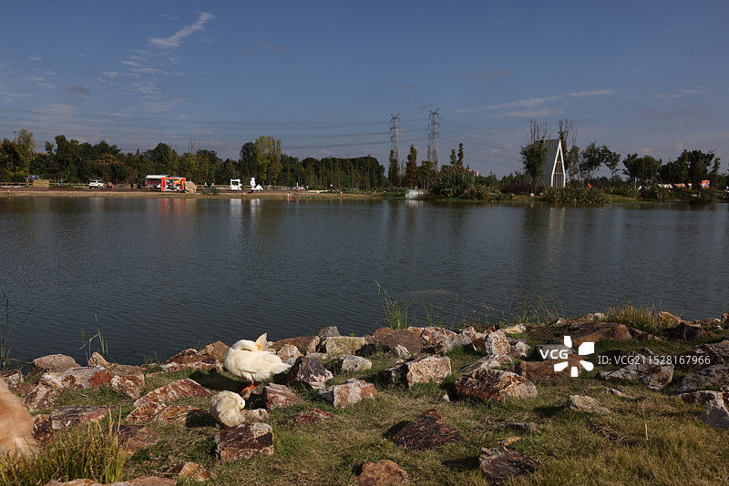 成都温江鲁家滩湿地图片素材