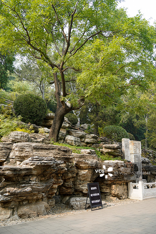 北京景山公园内崇祯帝自缢的歪脖子树和碑图片素材