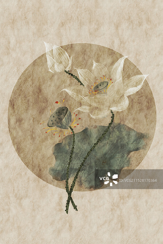 仿宋画风格水墨风白荷花图片素材