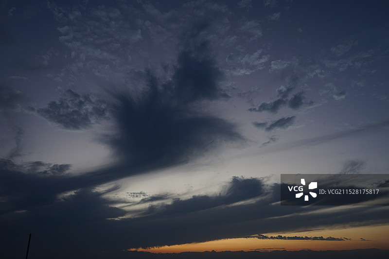 极简抽象 云图 小花 树干图片素材