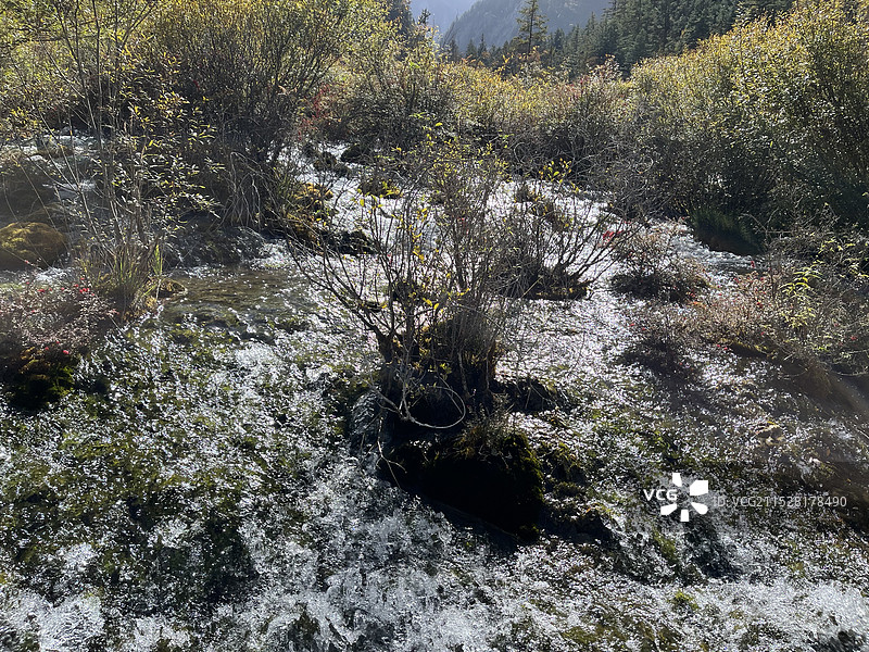 熊猫海瀑布图片素材