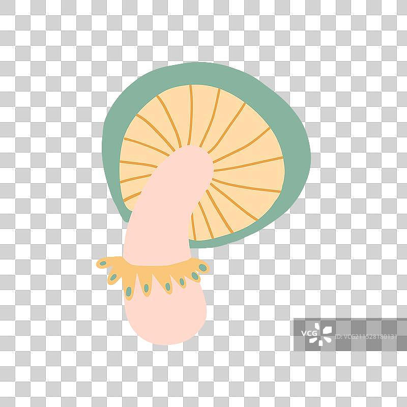 一朵奇幻的绿色蘑菇图片素材