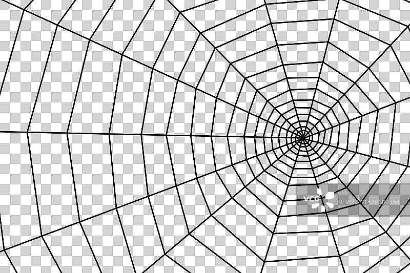 白色背景上的蛛网图片素材