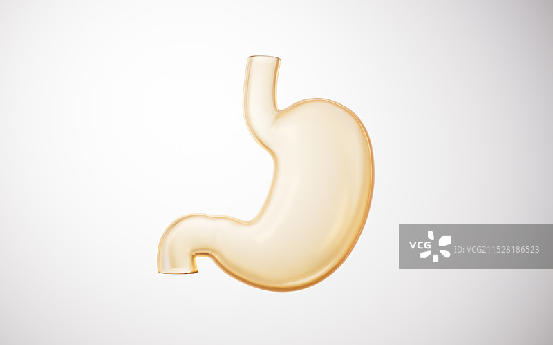金色透明胃部器官三维渲染图片素材