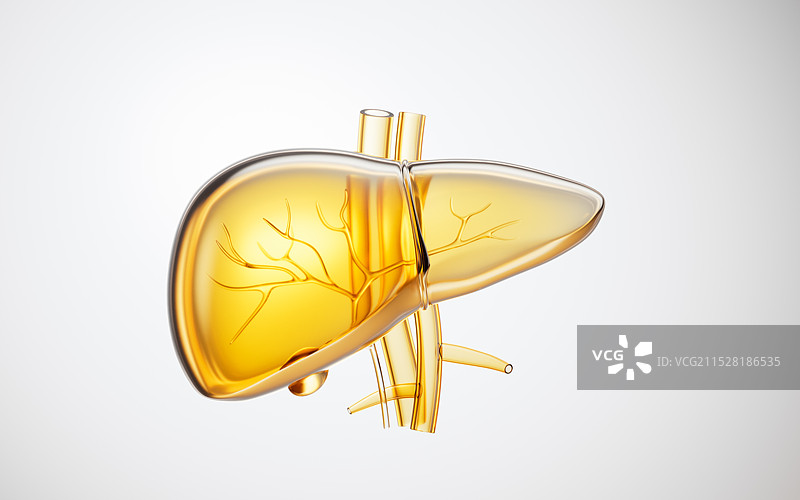 金色透明肝脏器官三维渲染图片素材