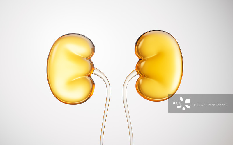 金色透明肾脏器官三维渲染图片素材