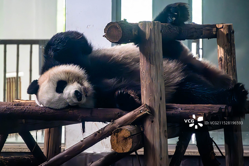 湖州中国竹子博览园图片素材