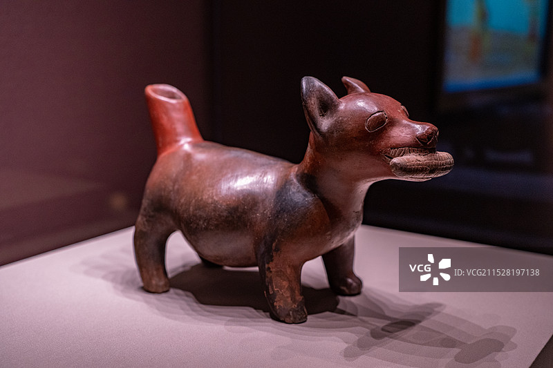 墨西哥国立人类学博物馆文物科利马文化叼着玉米的陶狗图片素材