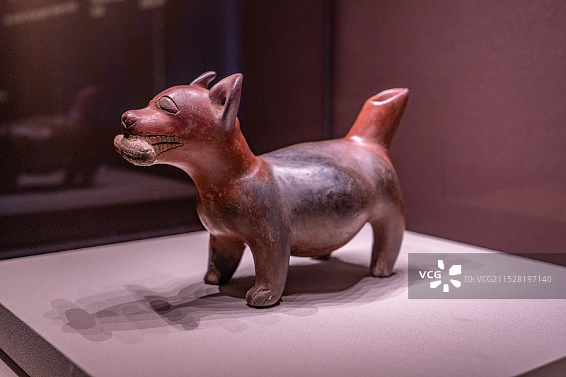 墨西哥国立人类学博物馆文物科利马文化叼着玉米的陶狗图片素材