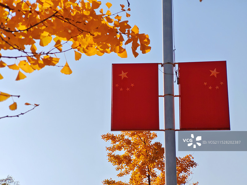 五星红旗高高飘扬图片素材