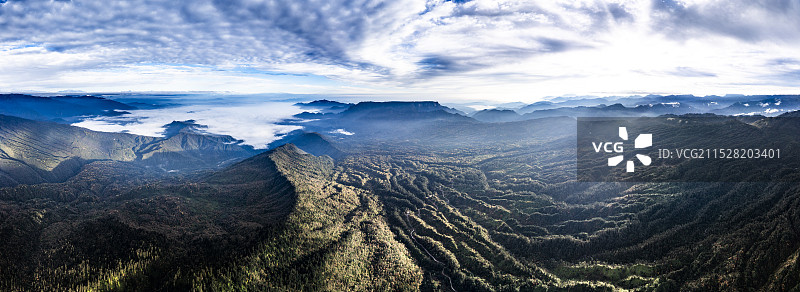大熊猫国家公园四川荥经龙苍沟森林公园秋色彩林图片素材