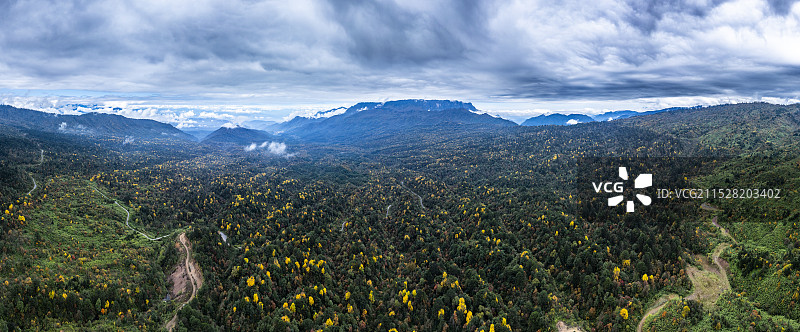 大熊猫国家公园四川荥经龙苍沟森林公园秋色彩林图片素材