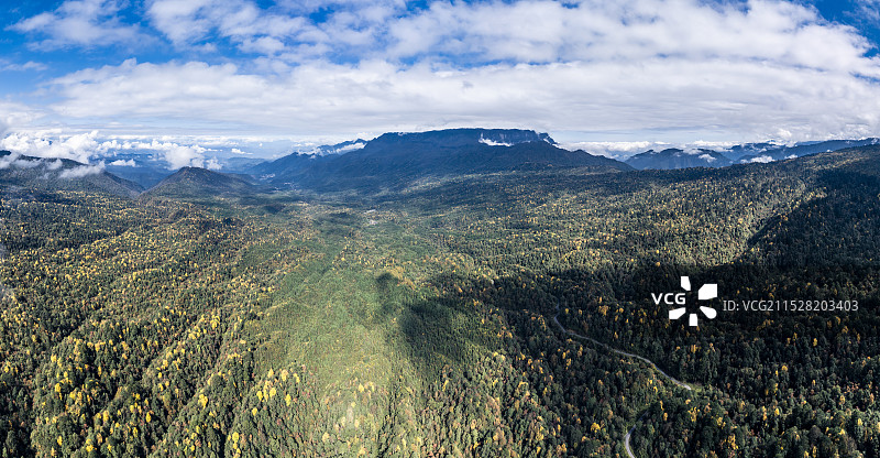 大熊猫国家公园四川荥经龙苍沟森林公园秋色彩林图片素材