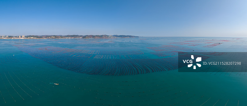 大连海上养殖航拍图片素材