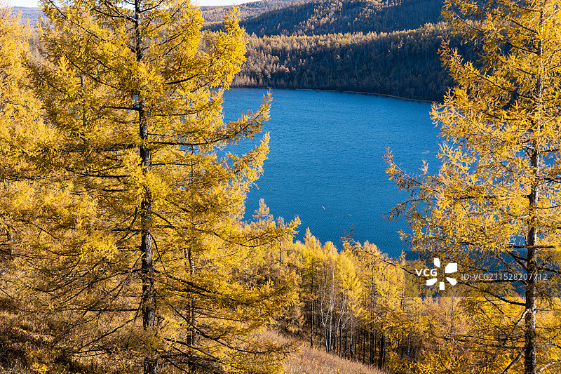 阿尔山之秋图片素材