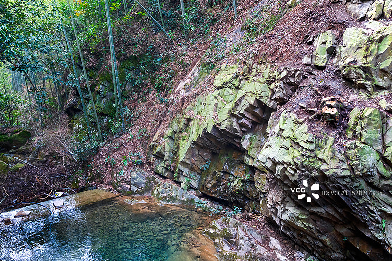 浙江省长兴-大唐贡茶院  竹海  古道古迹  月亮湾夜景图片素材