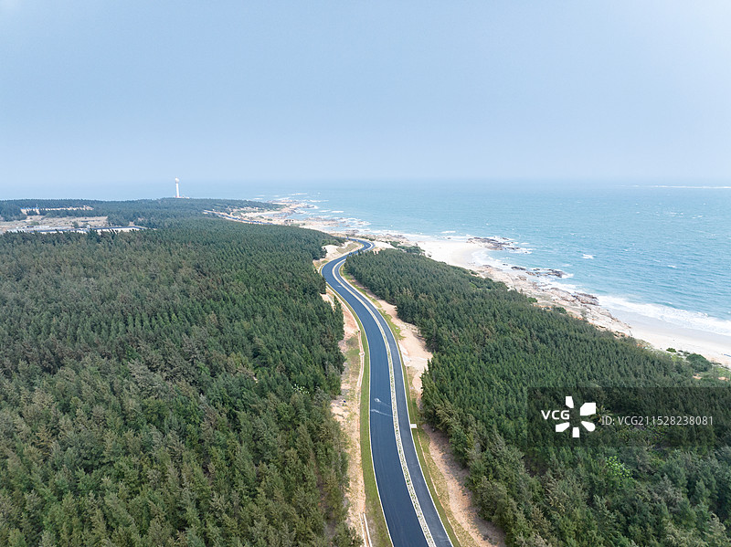 穿过海边森林的公路俯瞰图片素材