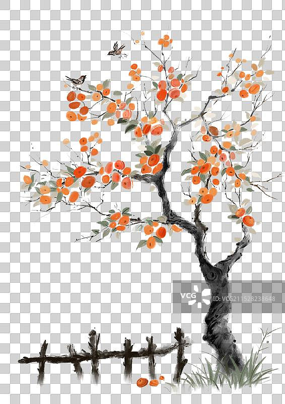 水墨一棵柿子树元素图片素材