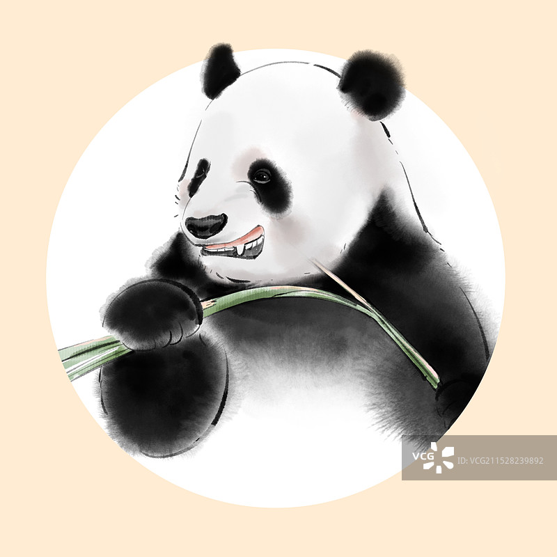 国宝大熊猫萌二图片素材