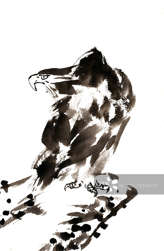 威武的鹰图片素材