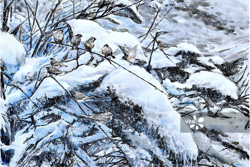 《端雪欢雀》纸本水彩图片素材