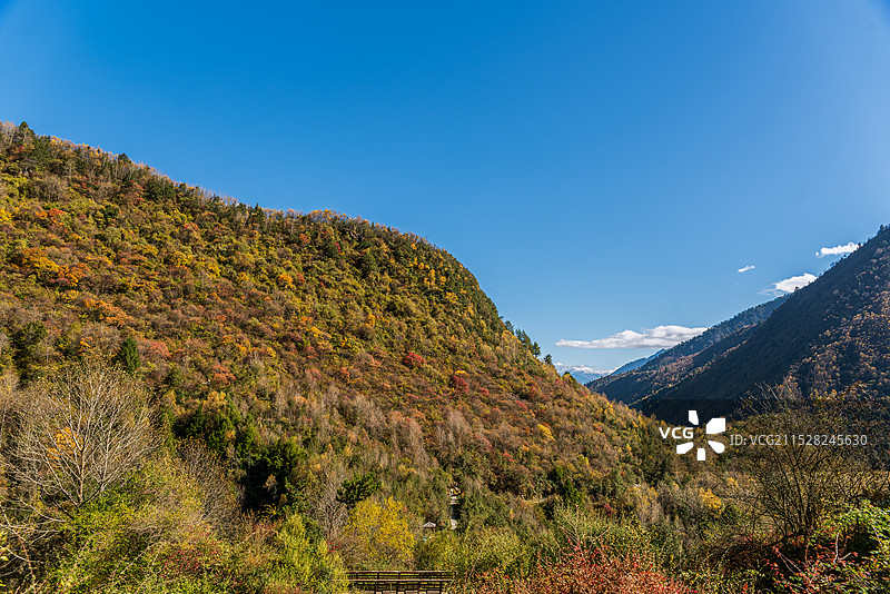 川西孟屯河谷秋色彩林，满天繁星图片素材
