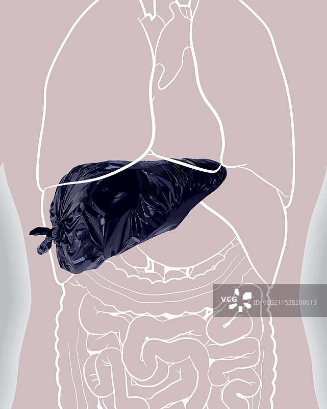 liverjunkorgans001图片素材