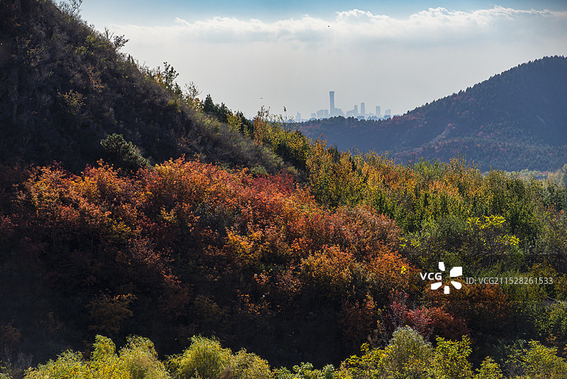 北京的秋天，舞彩浅山的核心区看向北京的国贸中信大厦图片素材