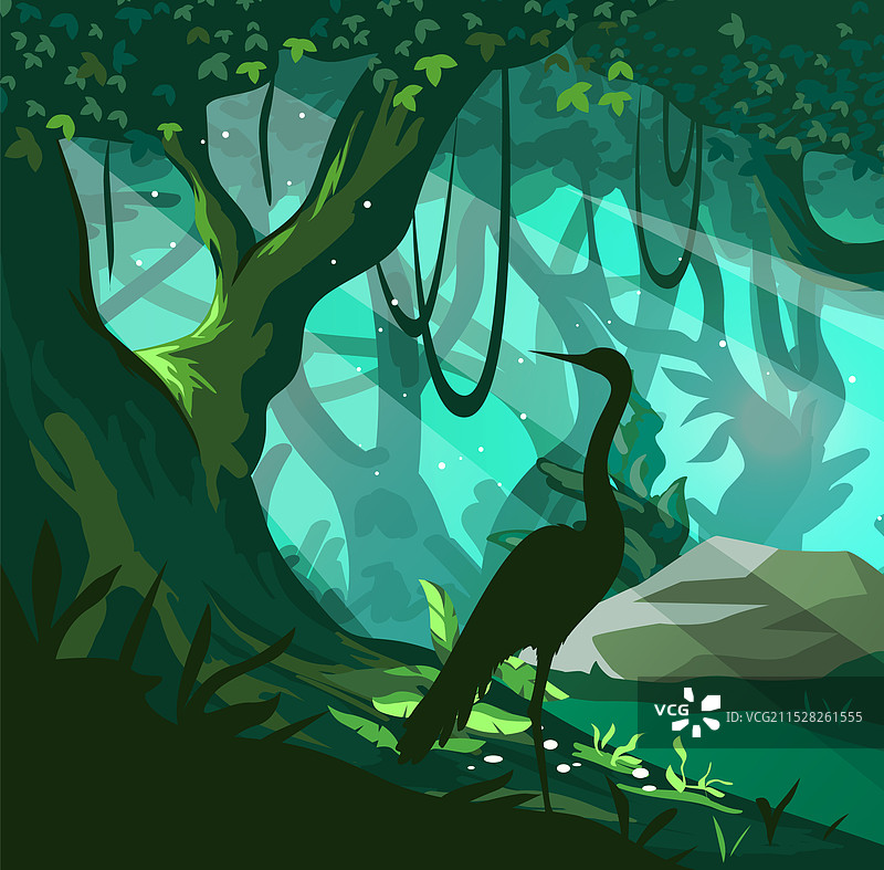 丛林景观，野生森林，树干和图片素材