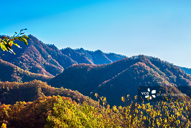 秦岭的秋天——黄花岭图片素材