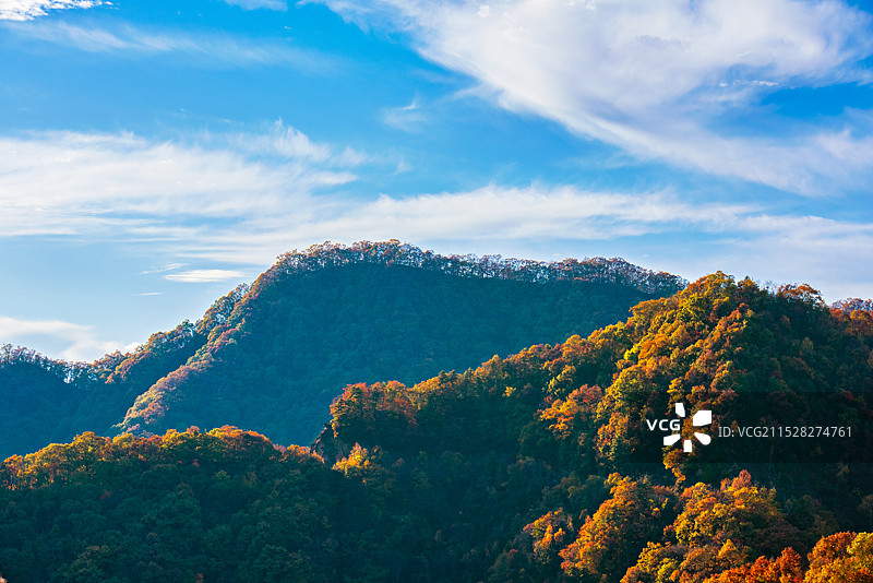秦岭的秋天——黄花岭图片素材