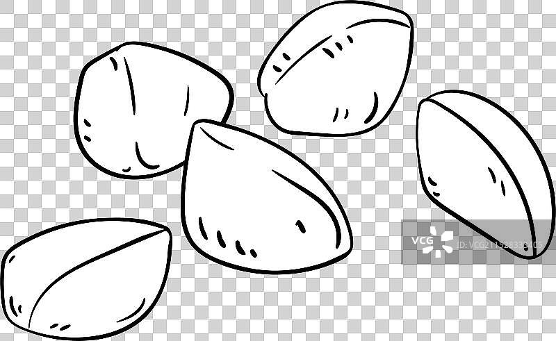 安迪罗巴坚果的轮廓图像，孤立展示图片素材