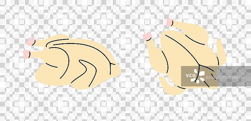 整只生鸡和禽肉图片素材