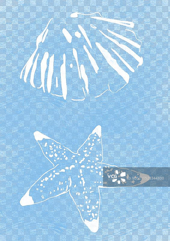 贝壳和海星线条元素插画图片素材