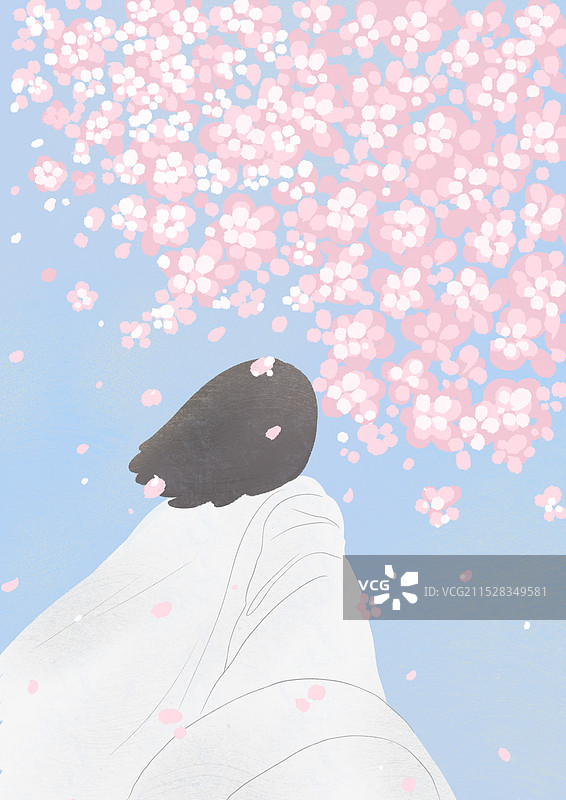 樱花落与女孩背影风景插画图片素材