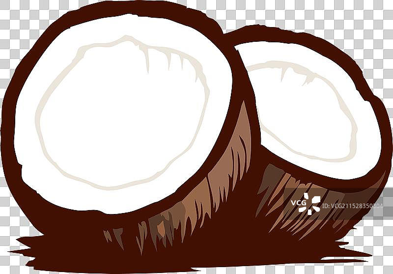 手绘的半个椰子水果图片素材