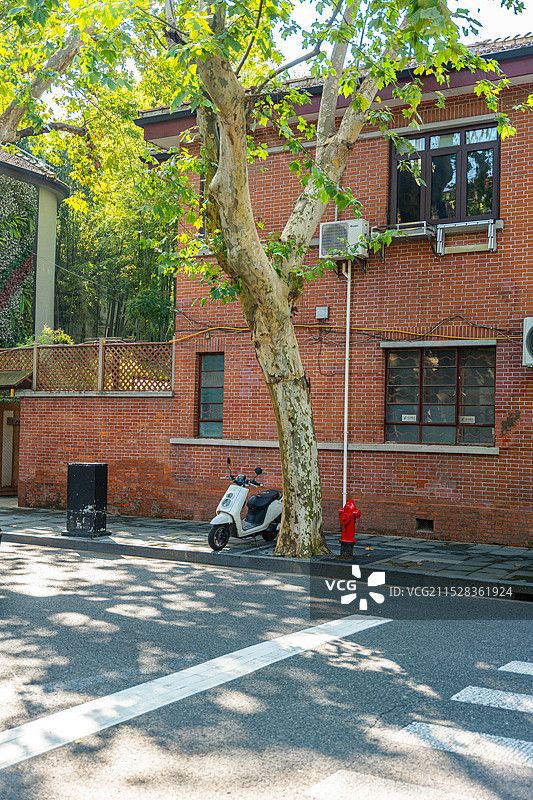 徐汇永嘉路光影图片素材