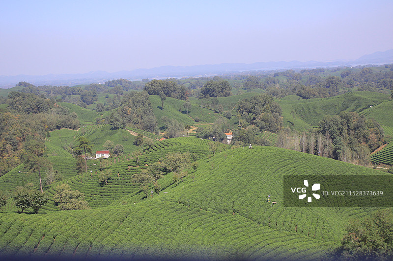 信阳文新茶村图片素材