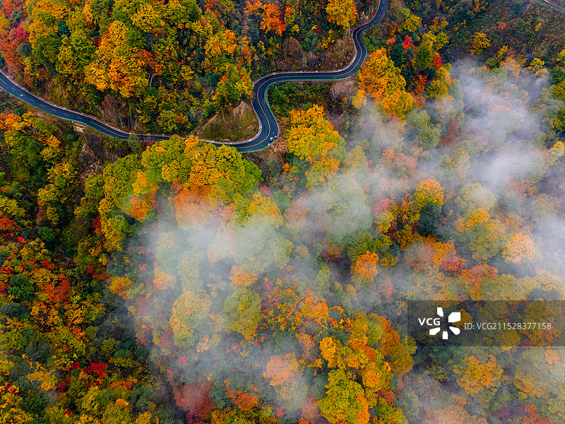 光雾山 深秋的色彩图片素材