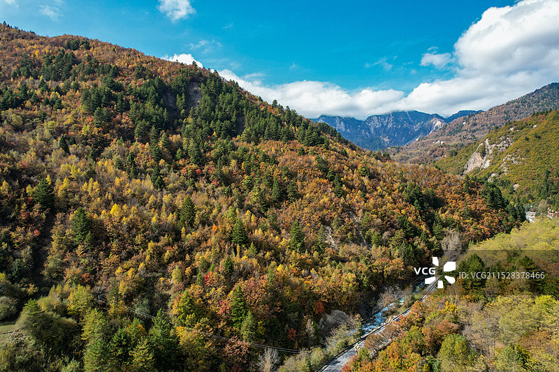 川西中查沟彩林秋色图片素材